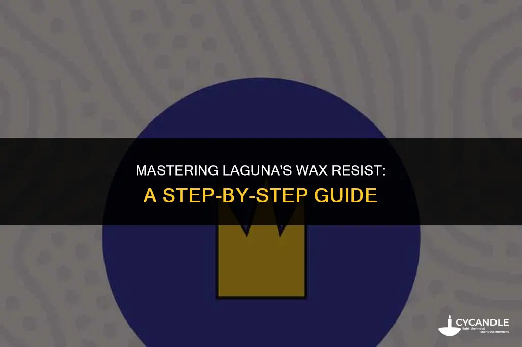 how do you use laguna