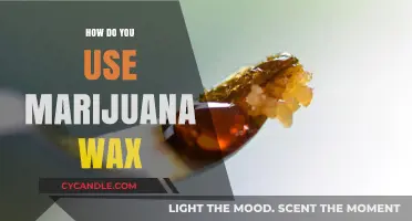 Exploring the Dabbing World: A Beginner's Guide to Marijuana Wax