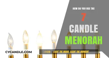 Lighting the Way: A Guide to Using the Seven-Candle Menorah
