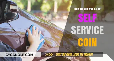 DIY Car Waxing: A Step-by-Step Guide to Self-Service Coin Waxing