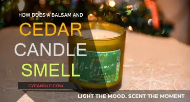 The Warmth of Balsam and Cedar: A Candle's Scent