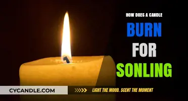 Understanding the Science Behind a Candle's Flame for Sonling