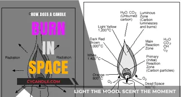 Candle Flames in Zero Gravity: Unraveling the Cosmic Combustion Mystery