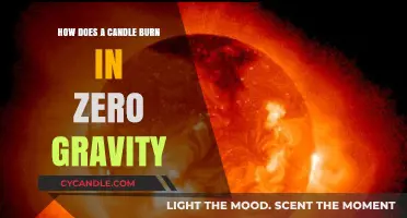 Candle Flames in Zero Gravity: The Science of Weightless Combustion