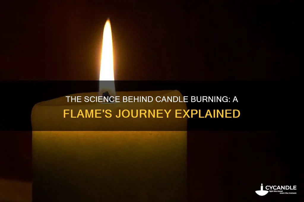 how does a candle burn science