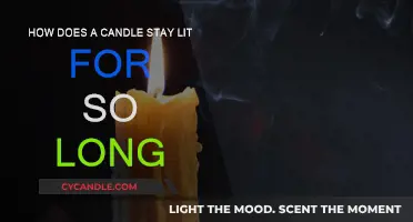 The Science Behind Candles: Long-Lasting Illumination