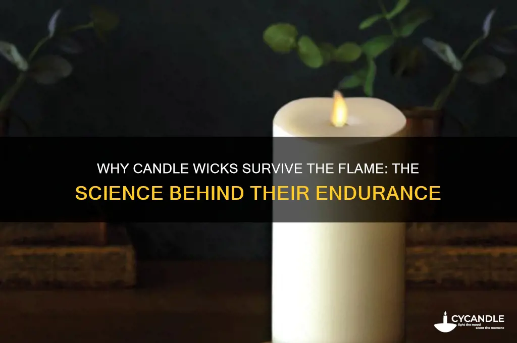 how does a candle wick not burn up