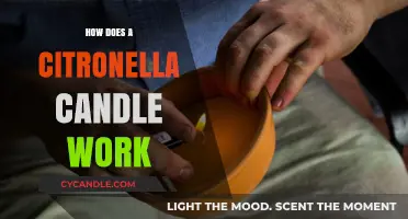 Citronella Candles: How They Repel Mosquitoes and Keep Bugs Away
