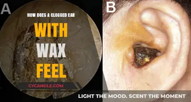 The Uncomfortable Sensation of a Wax-Clogged Ear: A Personal Account