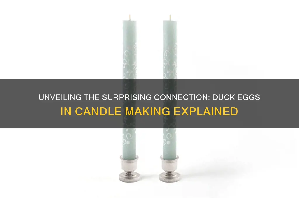 how does a duck egg get into candles