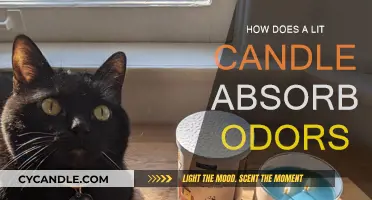 Candles: Odor Absorption Science Explained