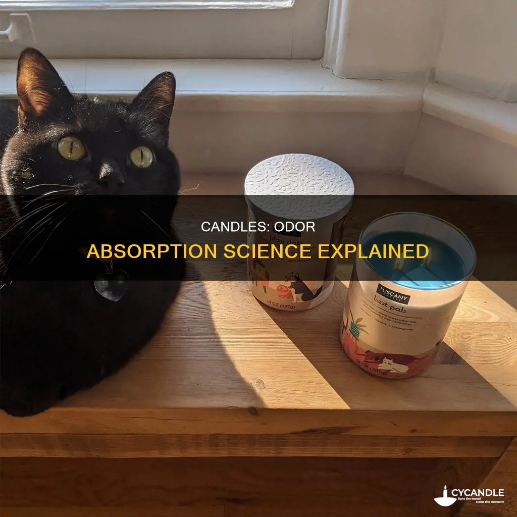 how does a lit candle absorb odors