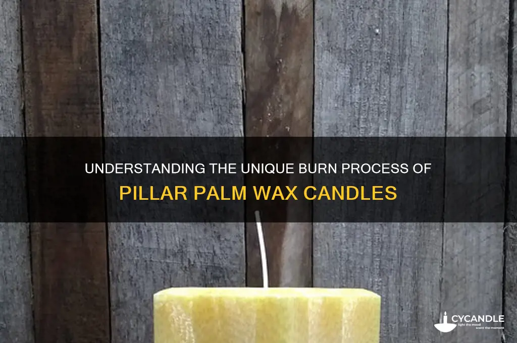 how does a pillar palm wax candle burn