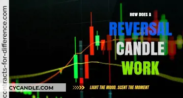Understanding Reversal Candles: How They Signal Market Trend Changes