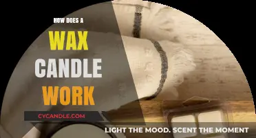 The Science Behind Wax Candles: How They Burn and Illuminate