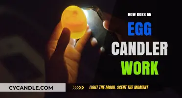 How Egg Candlers Work: Illuminating the Secrets Inside Eggshells
