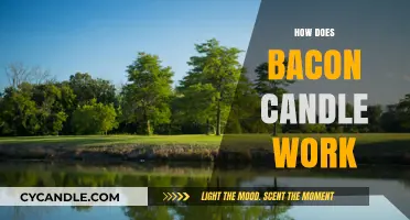Unveiling the Sizzling Science Behind Bacon-Scented Candles: How They Work