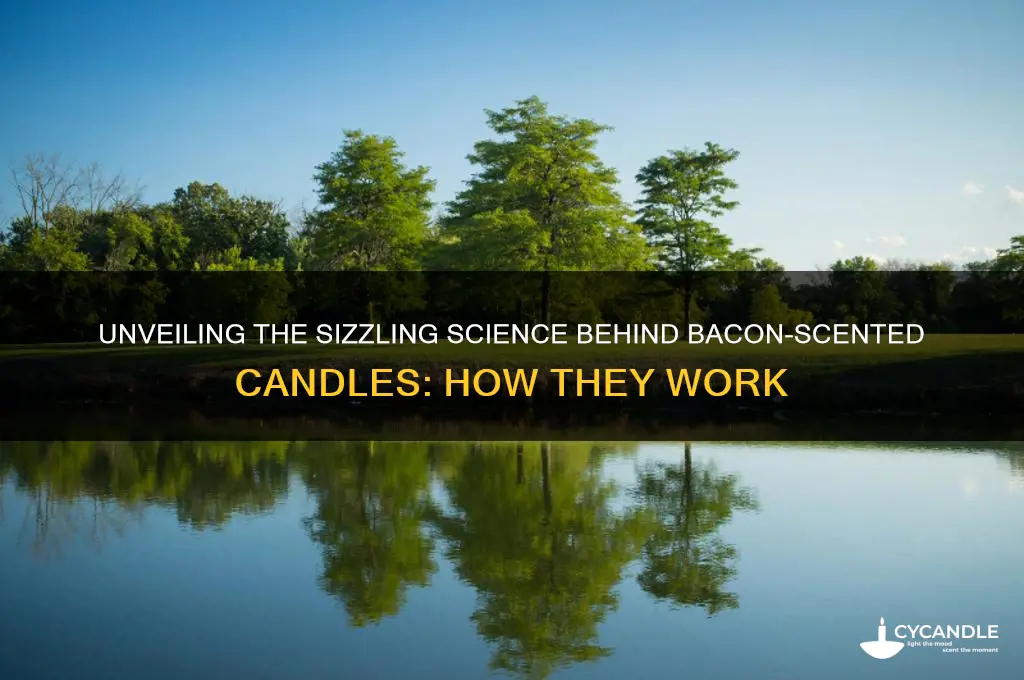 how does bacon candle work