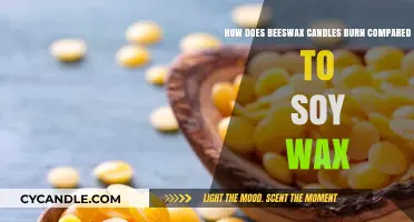 Beeswax vs. Soy Wax Candles: Burn Time, Quality, and Benefits Compared
