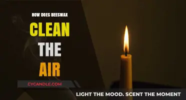 Beeswax's Natural Air Purifying Properties: A Breath of Fresh Air