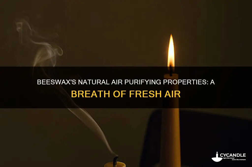 how does beeswax clean the air