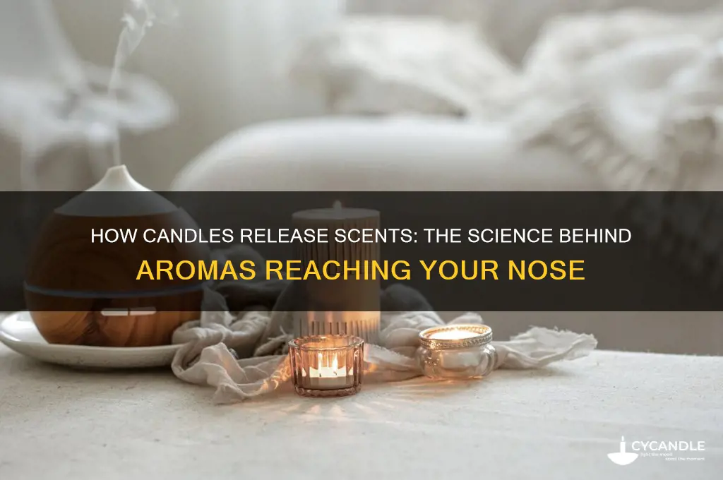 how does candle work to get to your nose