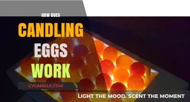 Candling Eggs: Unveiling the Ancient Technique for Freshness and Quality