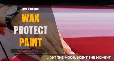 Shielding Your Ride: The Protective Power of Car Wax on Paint