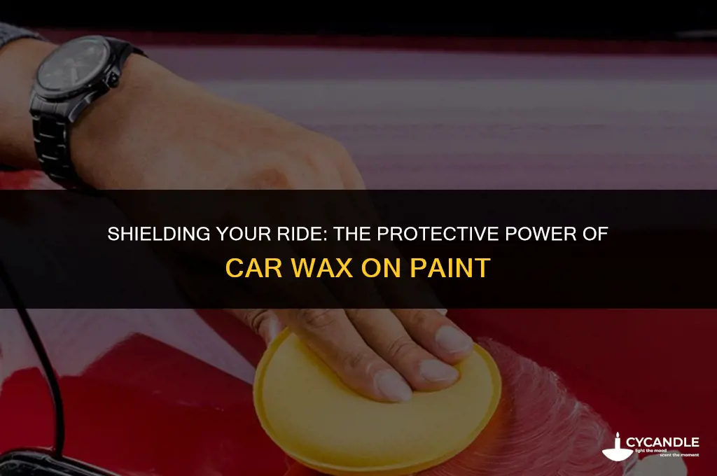 how does car wax protect paint