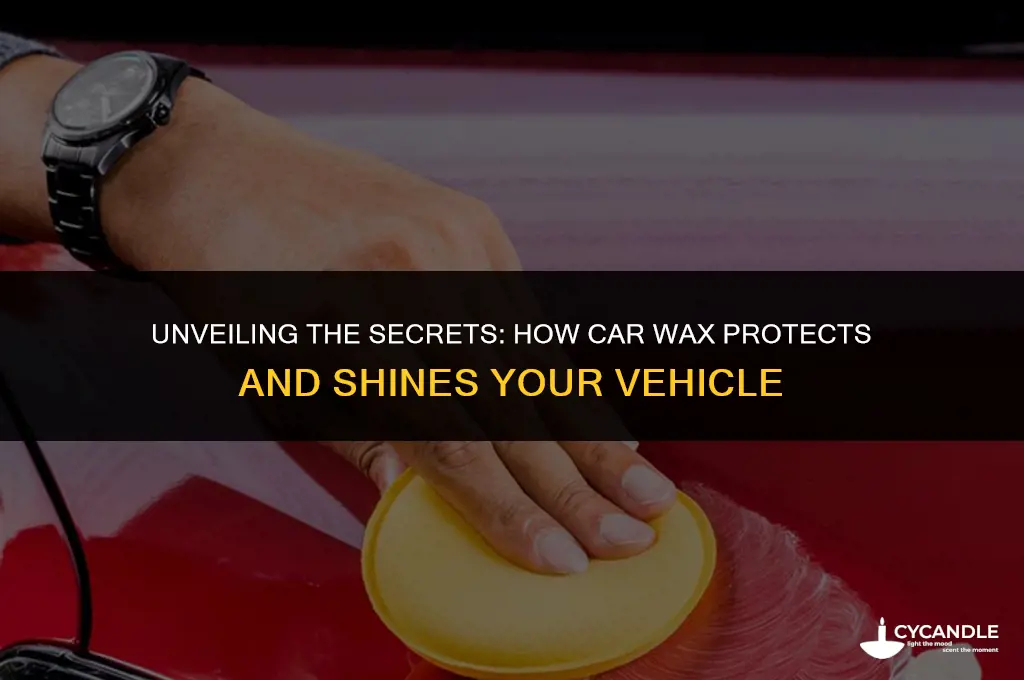 how does car wax work
