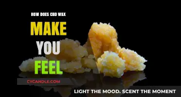 Exploring CBD Wax Effects: Relaxation, Focus, and Sensory Experience