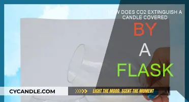 The Mystery of Carbon Dioxide and Candles