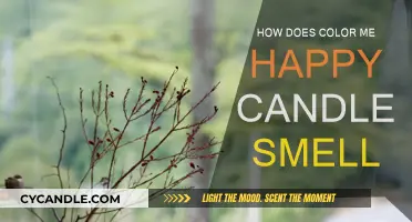 The Cheerful Scent of Color Me Happy Candle