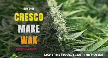 Cresco's Wax Production Process: A Detailed Guide to Crafting Quality Wax