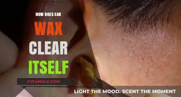 The Surprising Journey of Earwax: Nature's Self-Cleaning Process