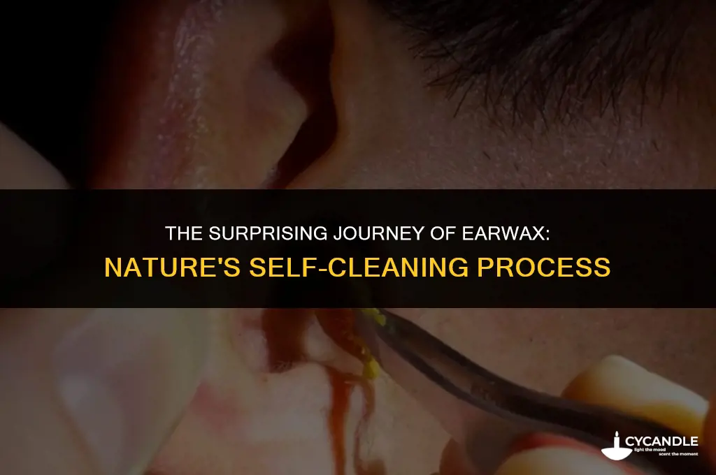 how does ear wax clear itself