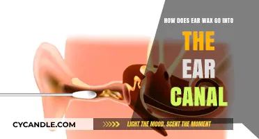 Understanding Ear Wax: Its Journey into the Ear Canal