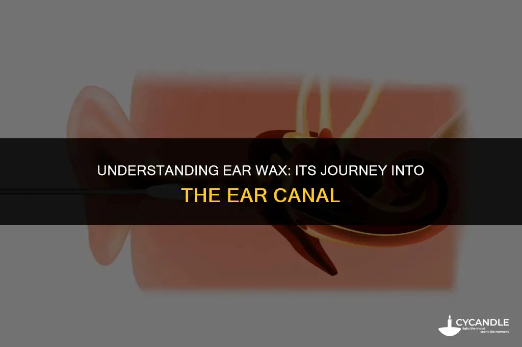how does ear wax go into the ear canal