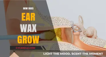 The Surprising Journey of Earwax: Growth and Function Explained