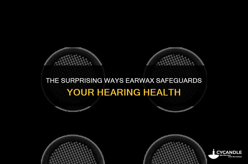how does ear wax protect your ears