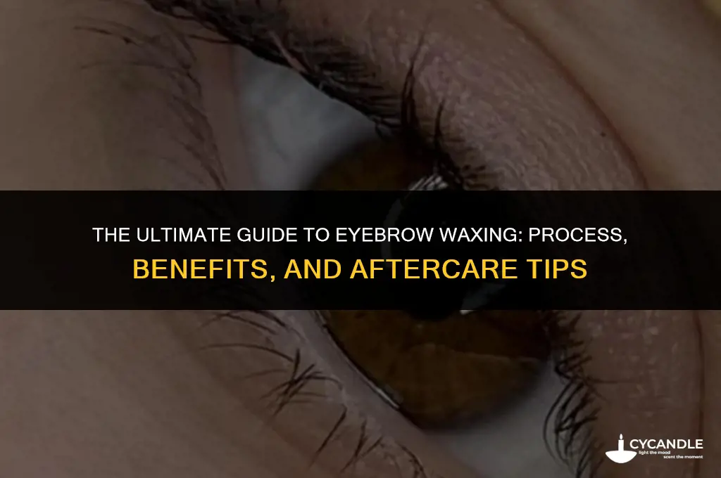 how does getting your eyebrows waxed work