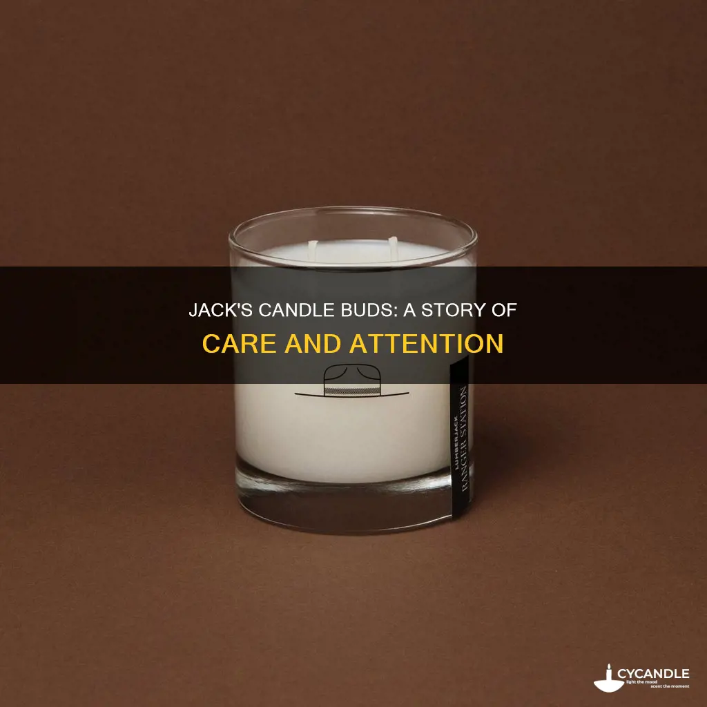 how does jack treat the candle buds