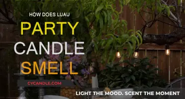 Luau Party Candle: Tropical Paradise or Not?