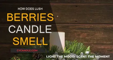 Lush Berries Candle: A Sweet, Tangy Escape