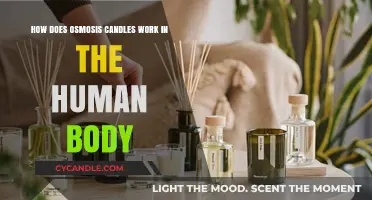 Understanding Osmosis Candles: Their Function and Impact on the Human Body