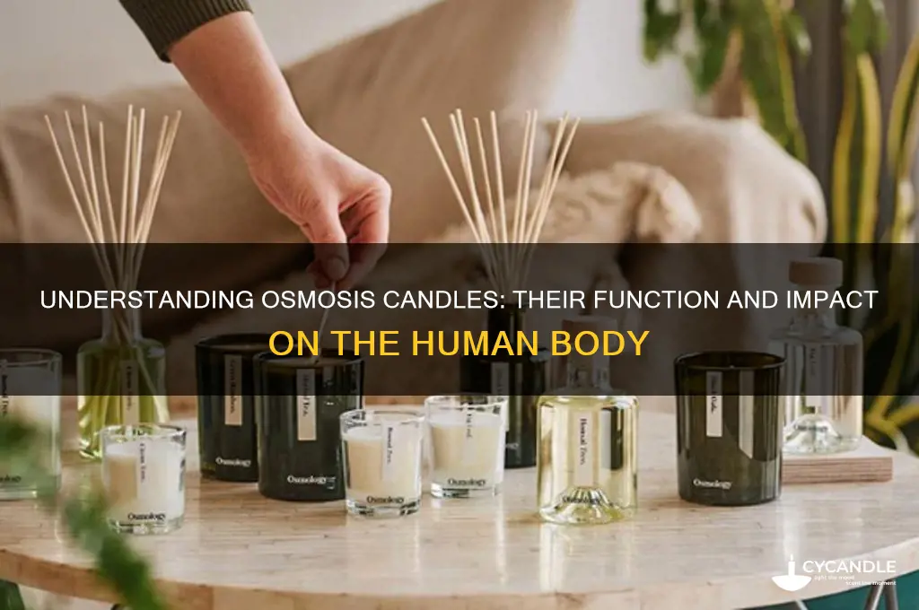 how does osmosis candles work in the human body