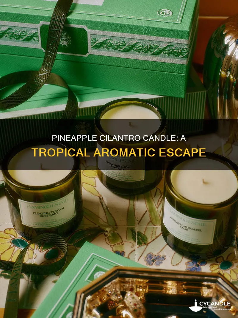 how does pinapple cilantro candle smell