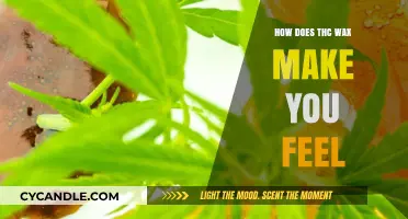 Exploring THC Wax Effects: Sensations, Highs, and User Experiences