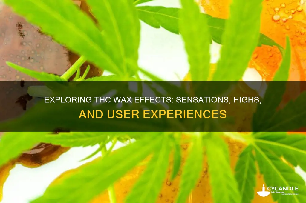 how does thc wax make you feel