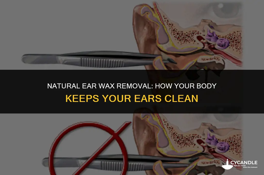 how does the body get rid of ear wax